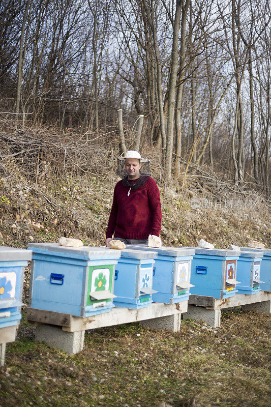 养蜂人和蜂群，蜂房蜂箱蜂蜜