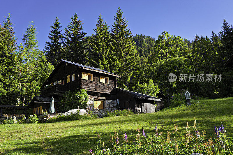 风景如画的高山小屋，夏日绿意盎然的山林