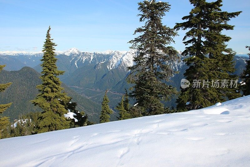 白雪皑皑的山坡