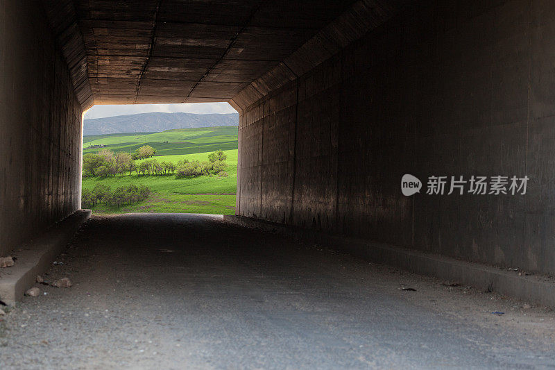 在黑暗的混凝土隧道尽头看到的新鲜的绿色春景