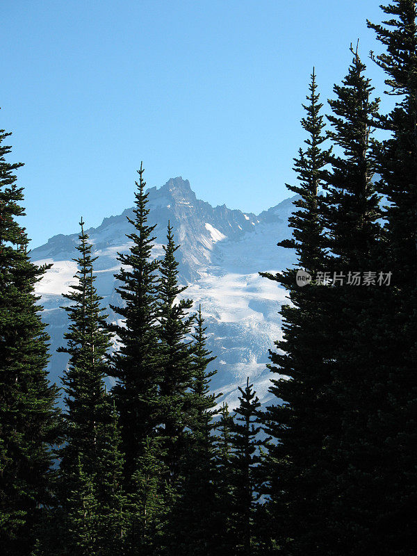 树和山