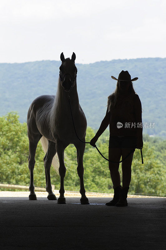 女人和马的剪影在开放的夏季谷仓门