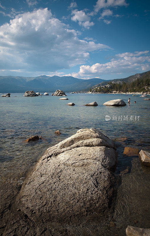 凉爽的夏季景观