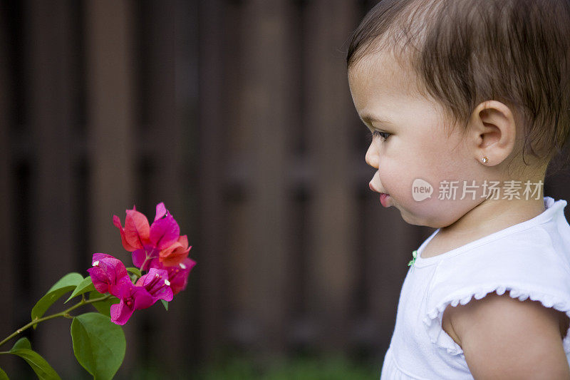 小女孩的侧面吹着九重葛花