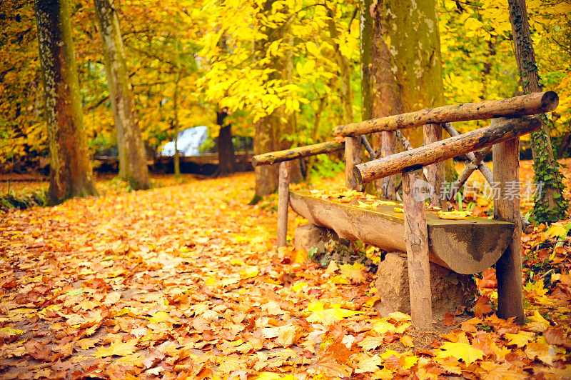 长凳在美丽的秋天公园