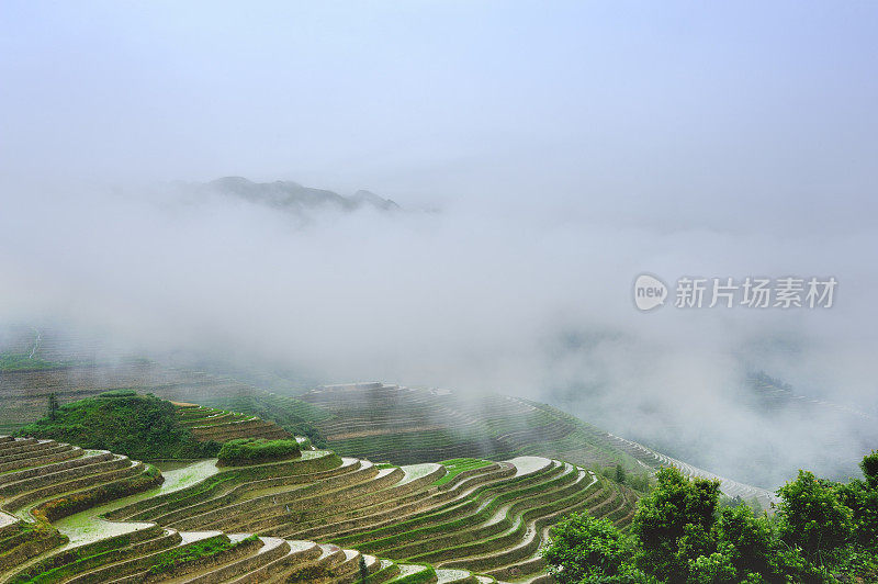 雨中的梯田