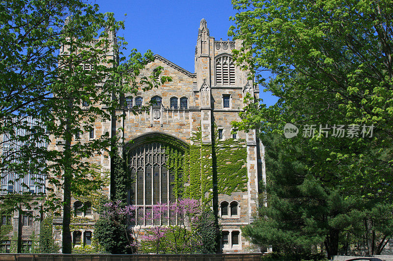 密歇根大学法学院图书馆，安娜堡。