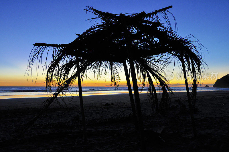 《暮光之城》Palapa