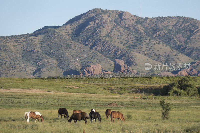 在科罗拉多州的莫里森红石山放牧马