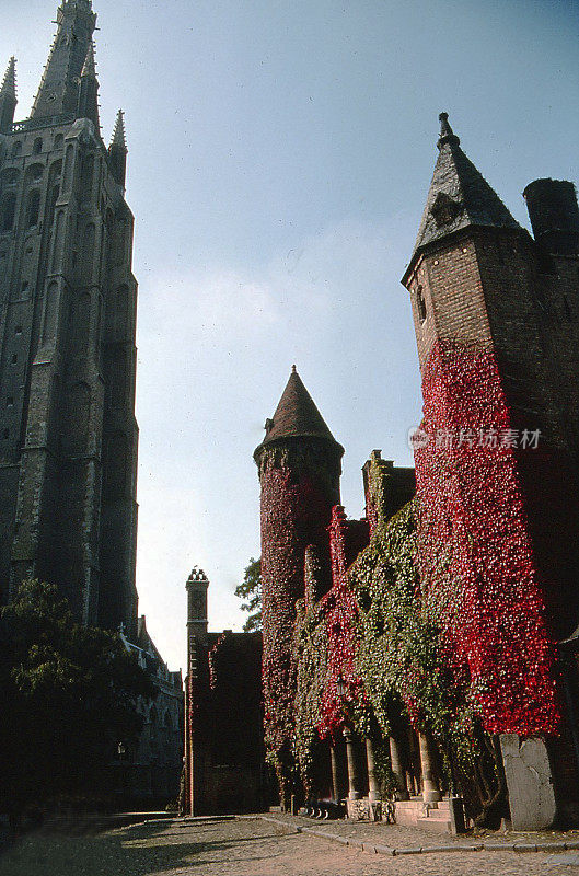 常春藤覆盖的墙壁，古老的教堂和塔秋季比利时布鲁日欧洲