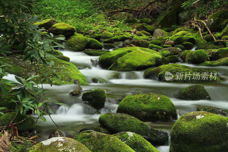 绿苔山溪烟山田纳西州