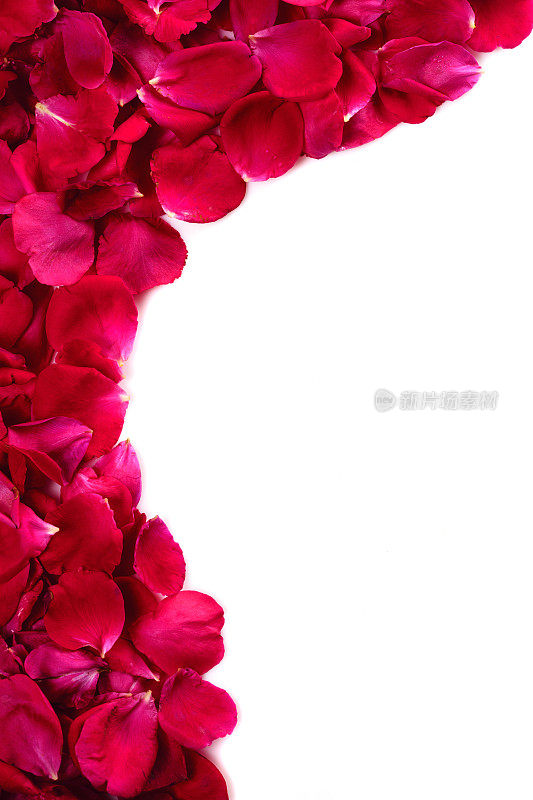 红玫瑰花瓣