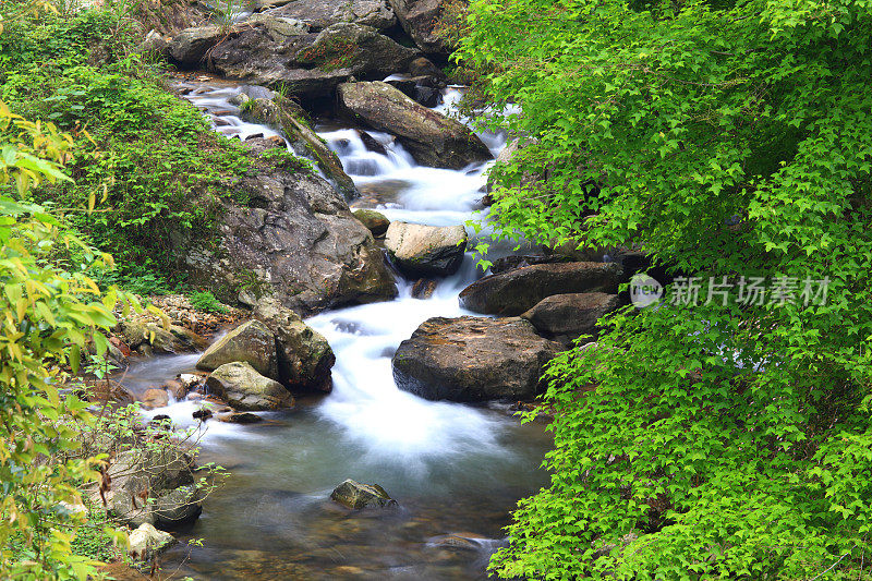 红溪河在中国桂林的原始森林里