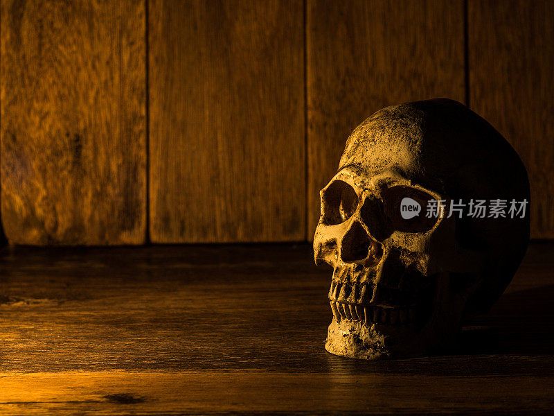 头骨被放在一张木桌上。背景是一个木制的盘子和光从蜡烛到头骨。