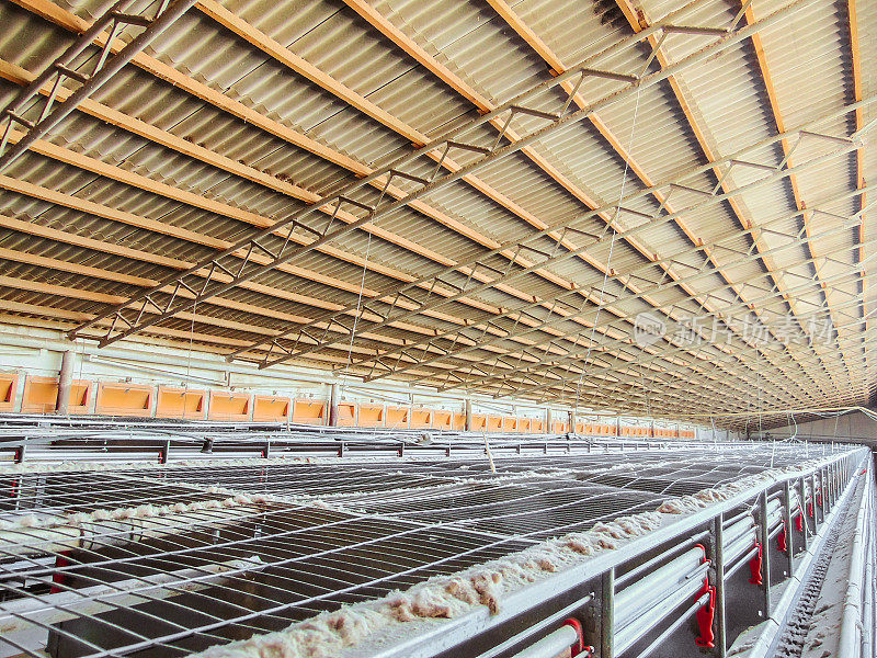 某家禽养殖场废弃空蛋生产线停产
