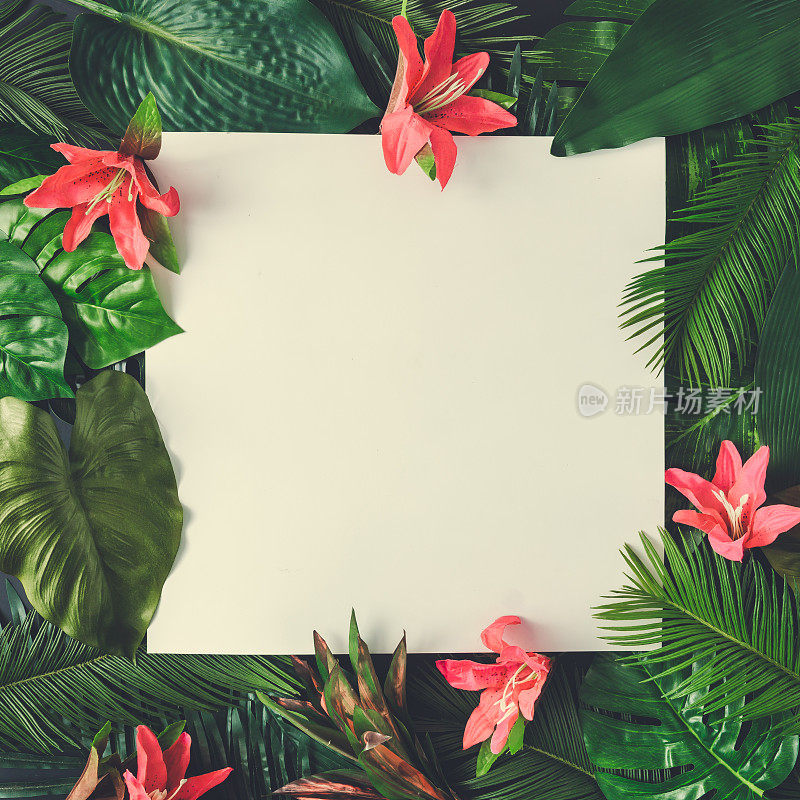 创意自然的布局由热带树叶和花卉与纸卡片便条。平的。夏天的概念。