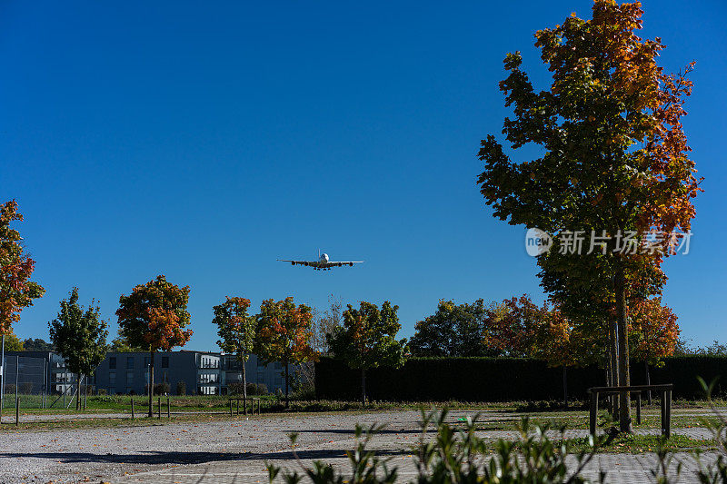 飞机飞机与树木和蓝天降落