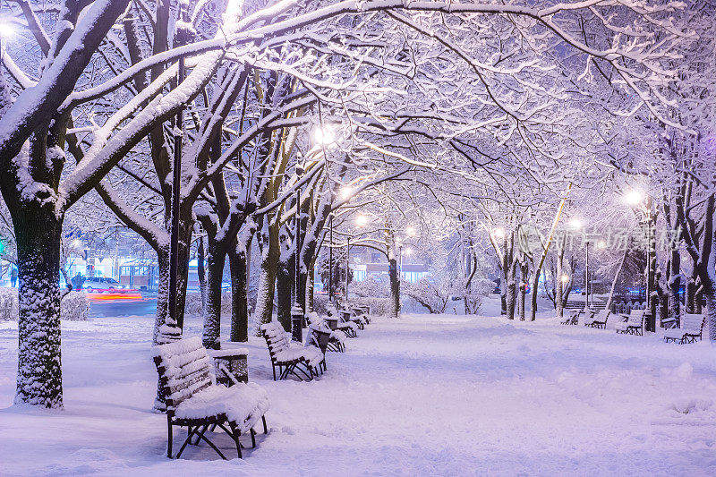 令人惊叹的冬夜景观，雪覆盖的长凳在积雪的树木和闪烁的灯光在下雪。艺术照片。美丽的世界。