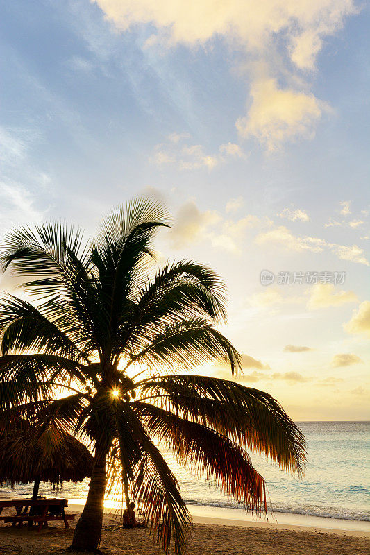 在加勒比库拉索岛的克尼普海滩上美丽的日落。