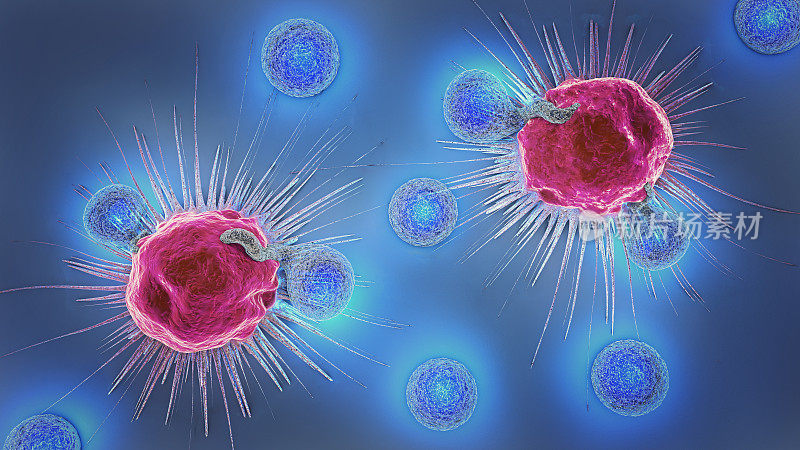 肿瘤细胞和淋巴细胞的3d插图