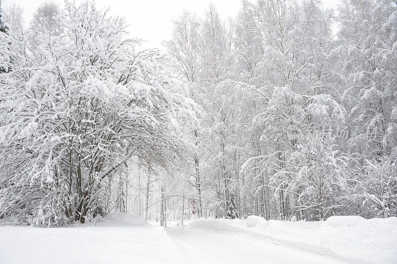 冰雪覆盖的道路穿过冬天的森林