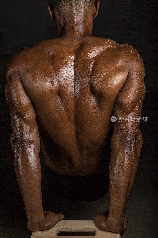中等摄影棚拍摄的一个非洲裔美国男性肌肉发达的背部和三头肌