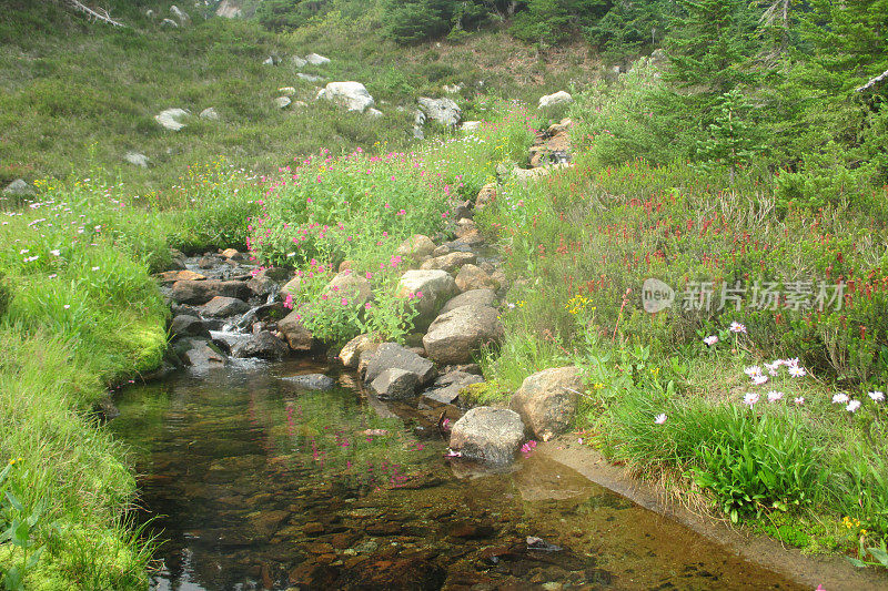 高山流水