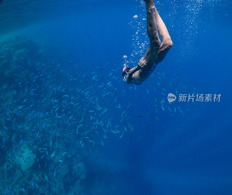 女人在海底游泳，发现珊瑚礁的深处，红海