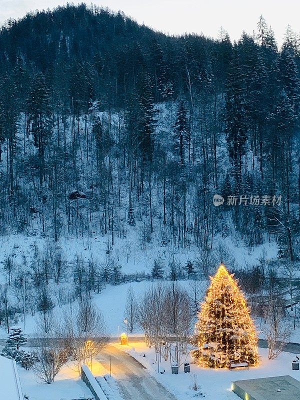 灯火通明的户外圣诞树，白雪覆盖