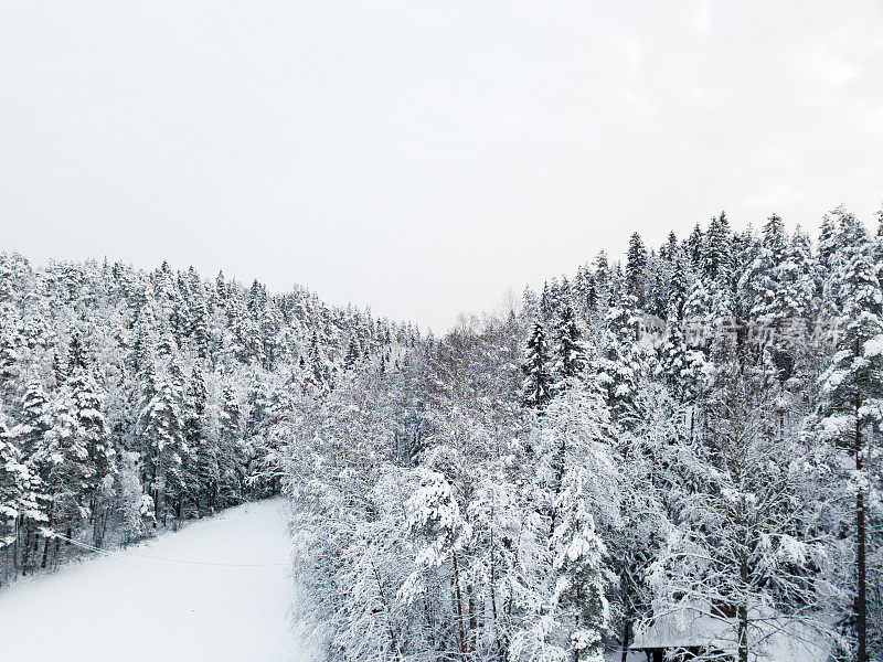 芬兰努克西奥国家公园雪地森林和冰冻湖泊的冬季鸟瞰图