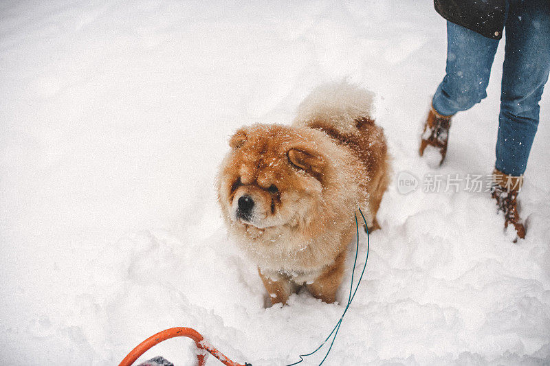 雪中的聚会时间