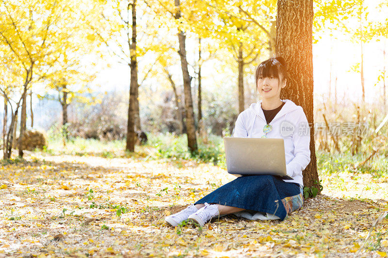 一个女人在黄色的银杏树下使用笔记本电脑