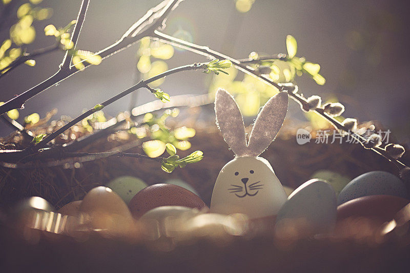 复活节装饰用精心制作的复活节兔子在阳光巢