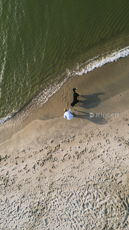 55岁的成熟、活跃、迷人的女人和她的大狗泽嫩猎犬在阳光明媚的秋日波罗的海的沙滩上玩耍。天线倾角的照片。