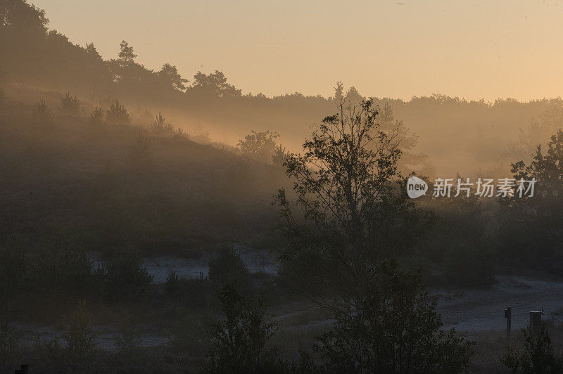 雾希思场景