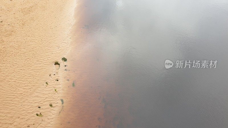 海岸边有沙滩、海藻和水