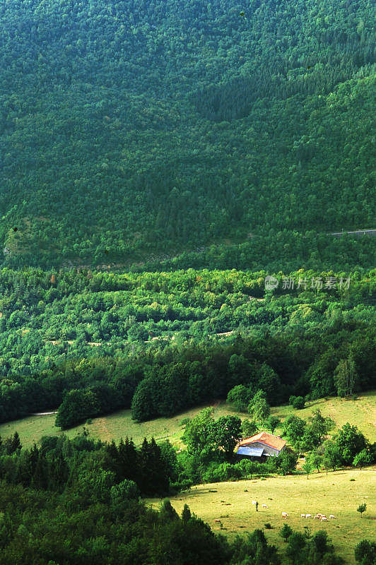 汝拉是法国东部Bourgogne-Franche-Comté的一个部门，以汝拉山脉命名