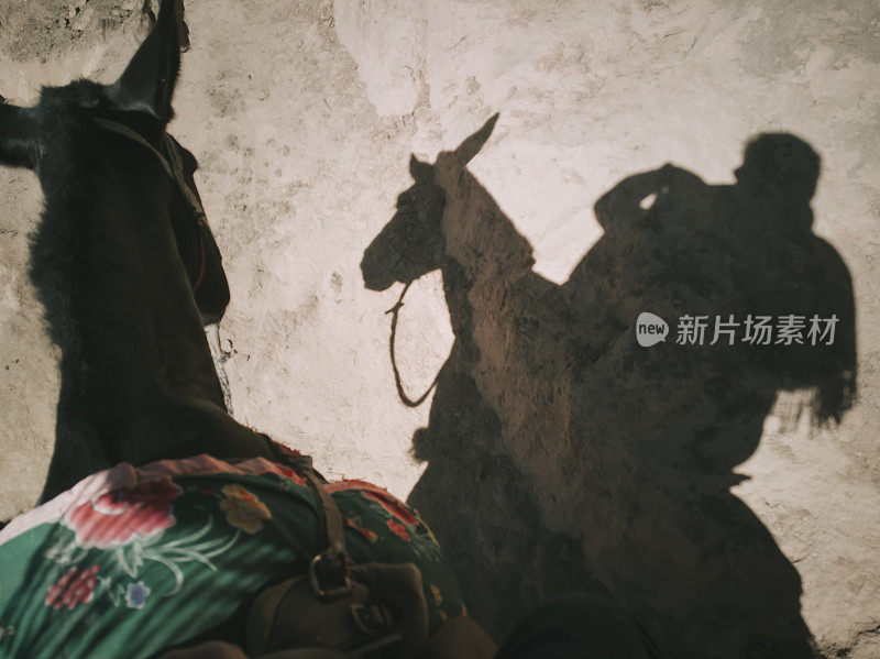 驴骑向不丹的老虎窝