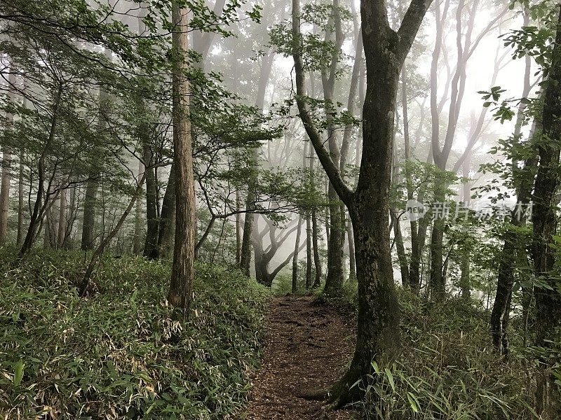 日本爱媛的Saragamine山(四国100座名山)