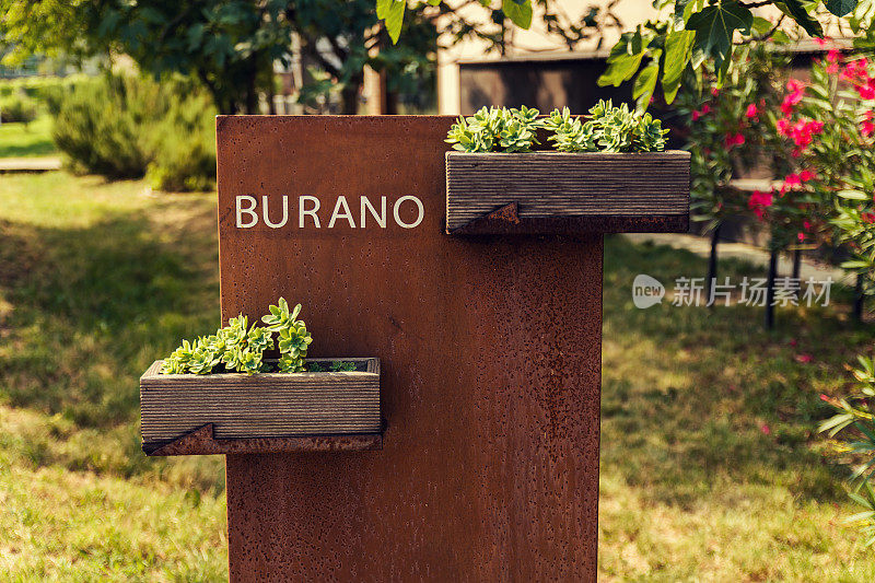 布拉诺标志多肉植物，威尼斯泻湖