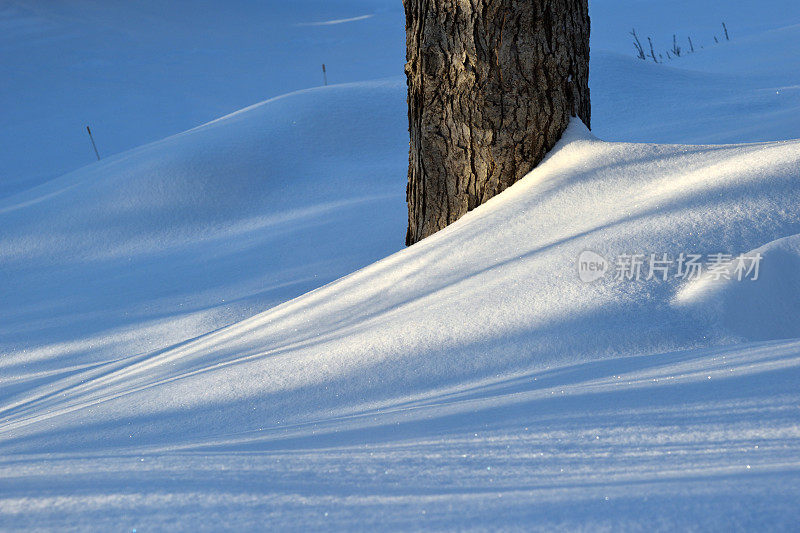 光和影子的一个雪漂移在早晨的阳光对树干摘要