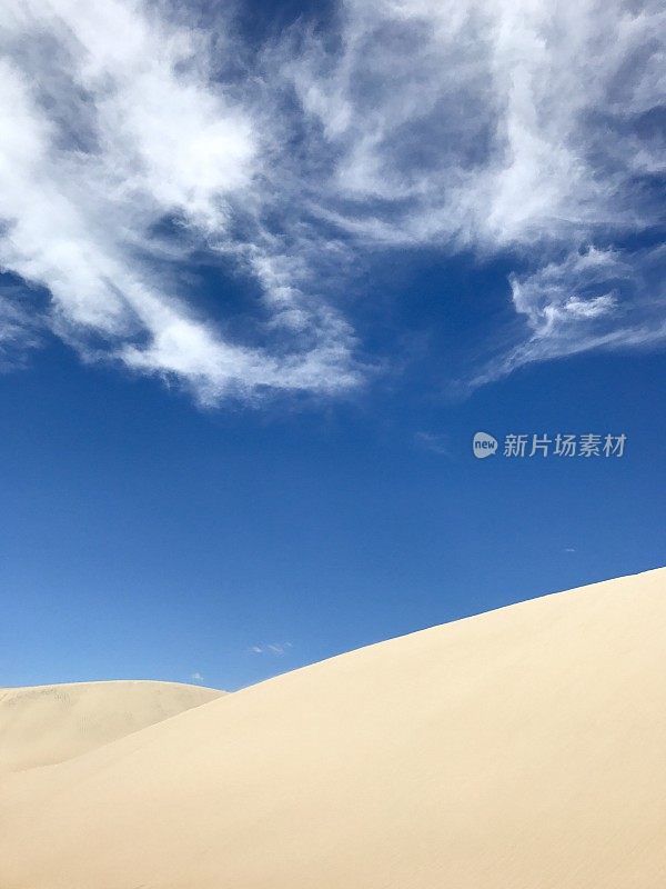 绿松石绿色，翠绿的雨水湖泻湖在一个金黄的沙丘在Jericoacoara，巴西