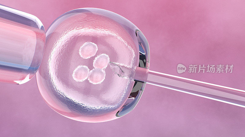 显微镜下观察胚胎细胞和针