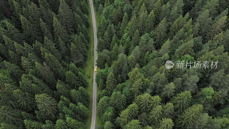 穿越森林的公路旅行