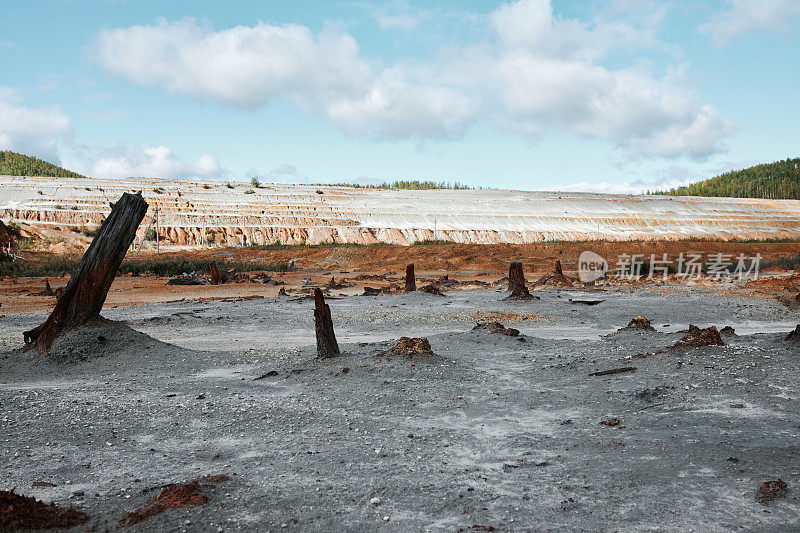 被遗弃的污染区域，灰色的沙地上有烧焦的树桩