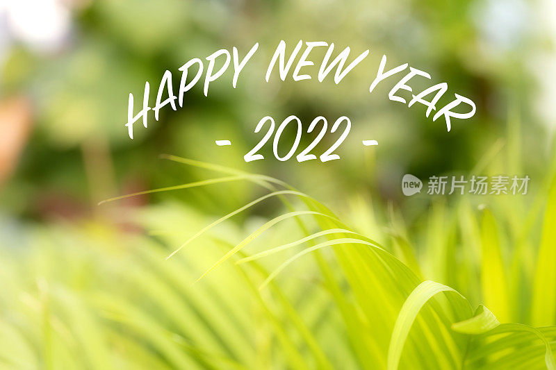 2022绿色生态年概念