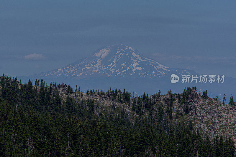 雷尼尔山在树木覆盖的山丘前陡然上升