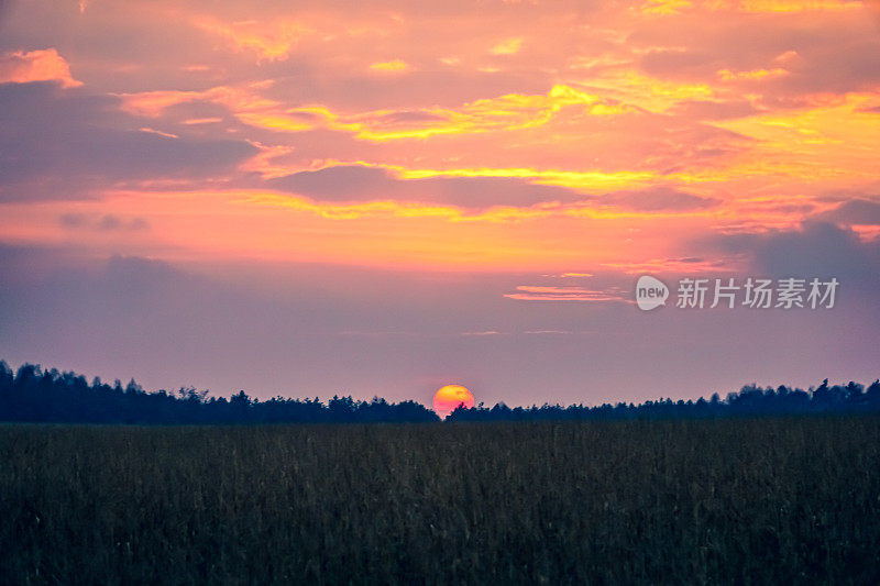 夕阳下的田野。