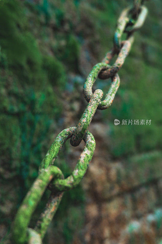 Bermondsey海滩的泰晤士河墙上的细节