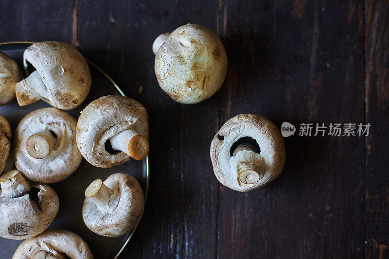 可食用的蘑菇